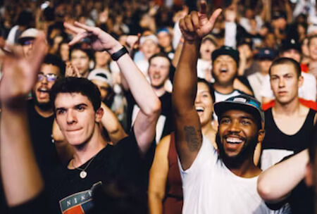 people enjoying a concert